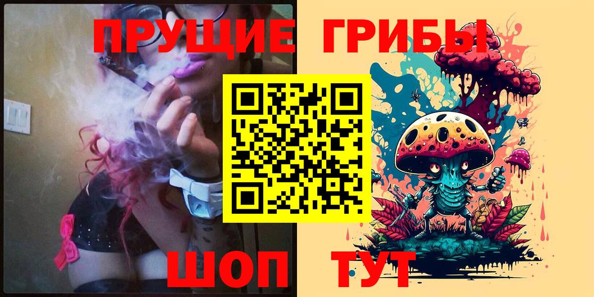 Псилоцибиновые грибы Psilocybine cubensis Гусев