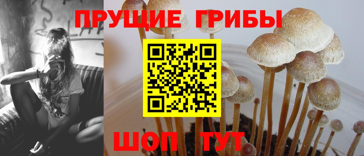 COCAIN  Гусев  Мефедрон   Гашиш  АМФ кристаллы  Каннабис  Вход с VPN 