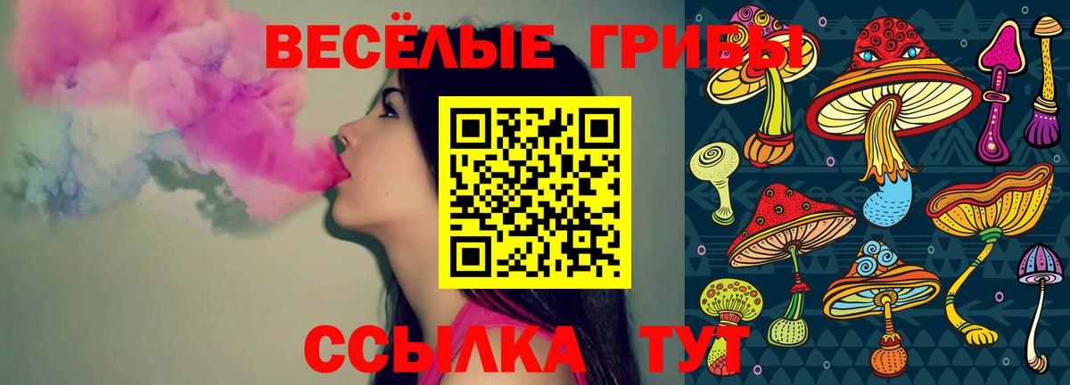 Гусев  Псилоцибиновые грибы мицелий  Вход с VPN  Галлюциногенные грибы Cubensis 
